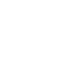 Thermometer Icon